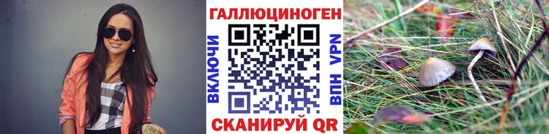 Галлюциногенные грибы Psilocybe  Малая Вишера 